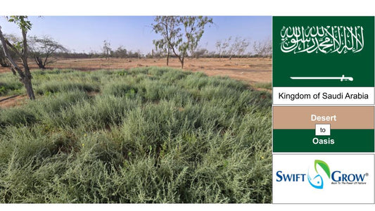 Saudi Desert to an Oasis in 5 Weeks