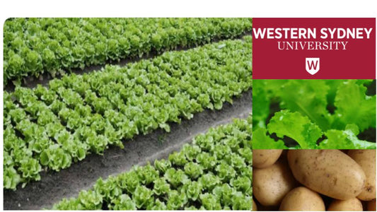 Western Sydney University Reveals Swift Grow's Impact on Crops and Soil