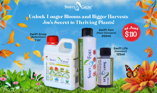 Summer Special – Kickstart Your Garden with Swift Grow!