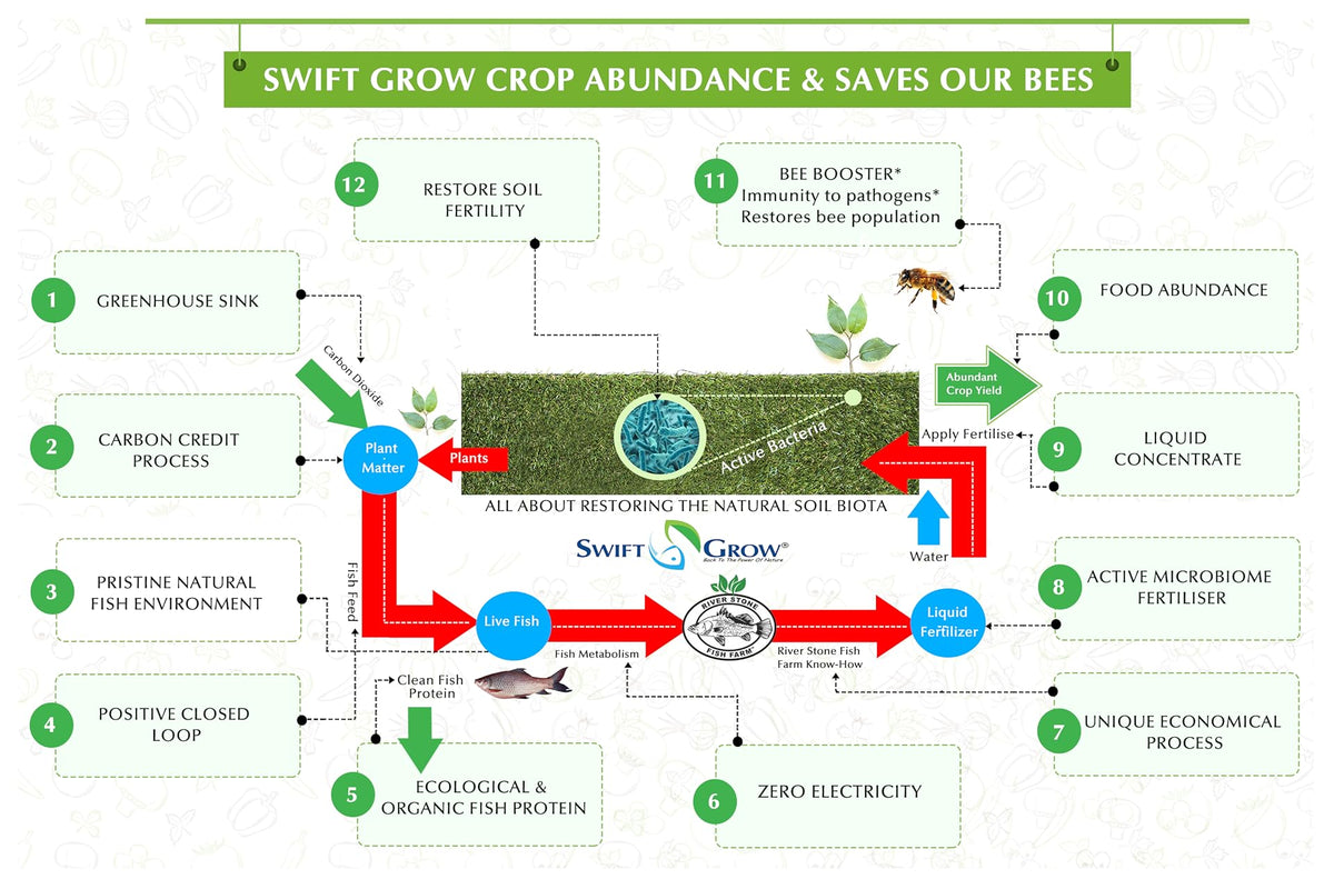 Restore Bees Restoring Bee Population – Swift-Grow
