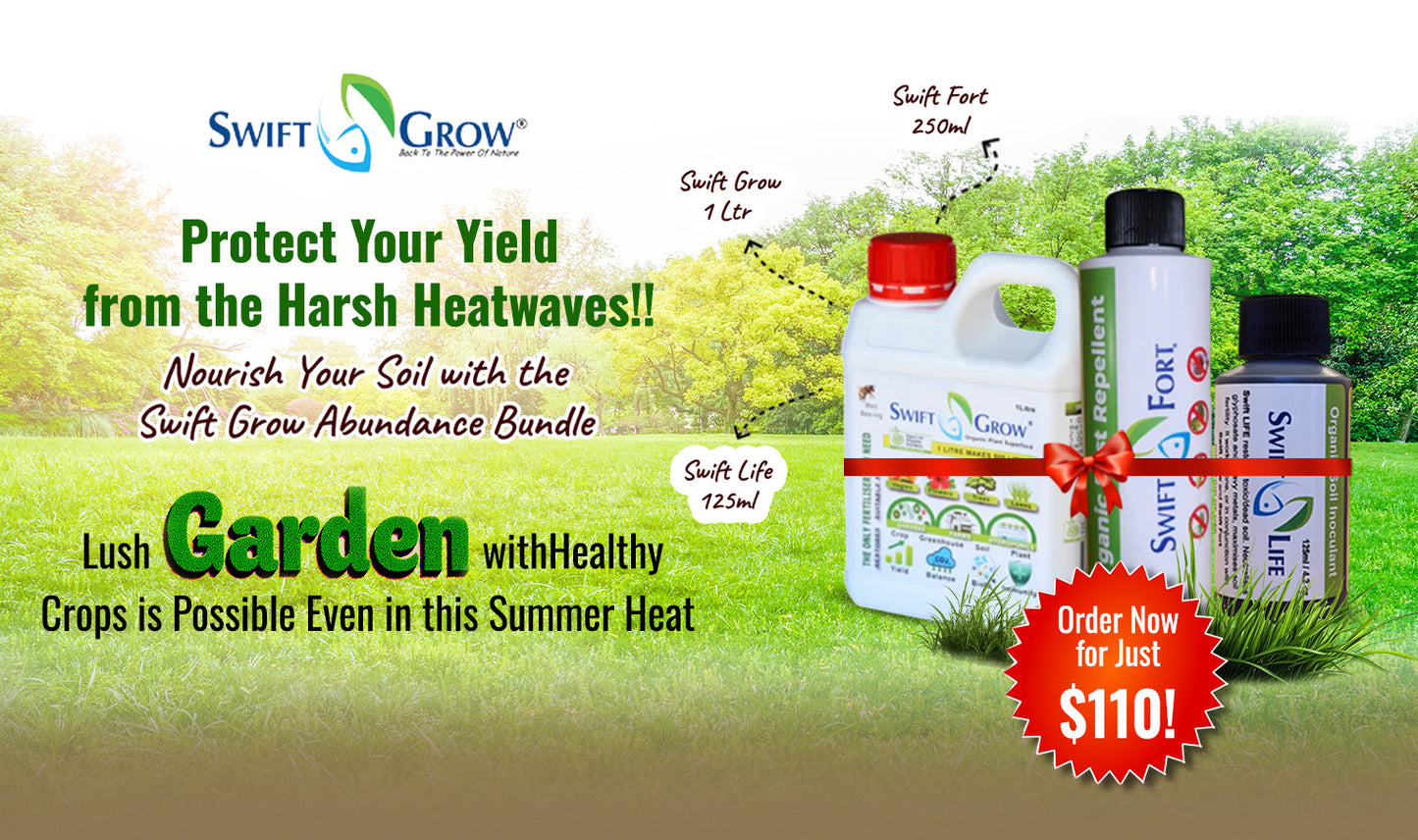 Summer Special – Kickstart Your Garden with Swift Grow!